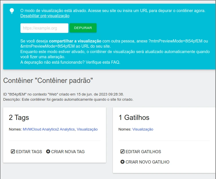 Warning about enabling debugging a container in the tag manager